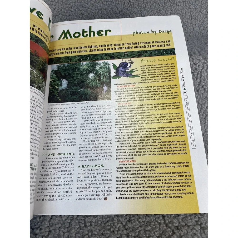 CANNABIS CULTURE MAGAZINE‎ JULY/AUGUST 2000